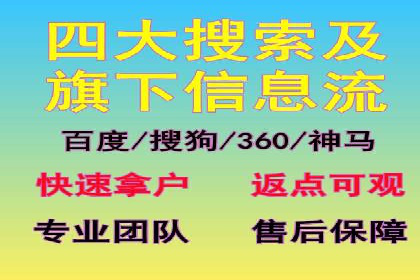 SEM推广实战：案例分析与优化